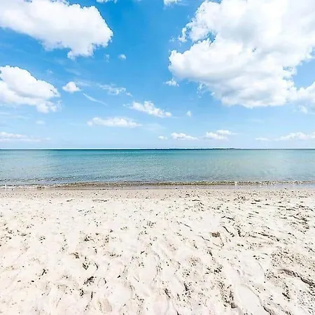 30432-odder-ravnsager-6 * オルダー