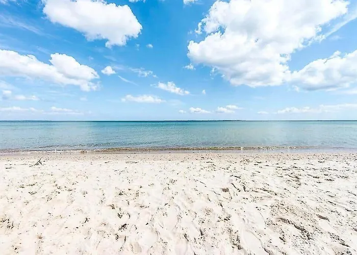 30432-odder-ravnsager-6 * Odder